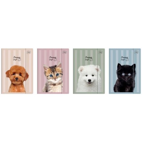 Teczka z gumką A4+ UV PUPPY SIGN Kotki i Pieski - 2