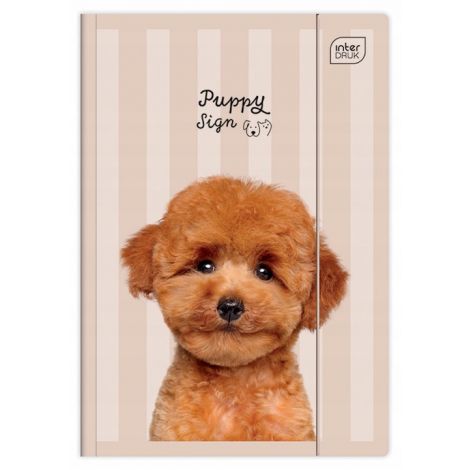 Teczka z gumką A4+ UV PUPPY SIGN Kotki i Pieski