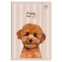 Teczka z gumką A4+ UV PUPPY SIGN Kotki i Pieski - 2