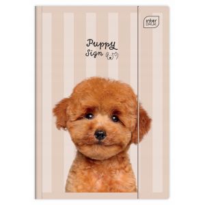 Teczka z gumką A4+ UV PUPPY SIGN Kotki i Pieski