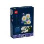 LEGO Botanicals 11508 Stokrotki - 4