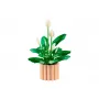 LEGO Botanicals 11504  Skrzydłokwiat/Peace Lily - 3