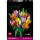 LEGO Botanicals 11501 Bukiet Tulipanów