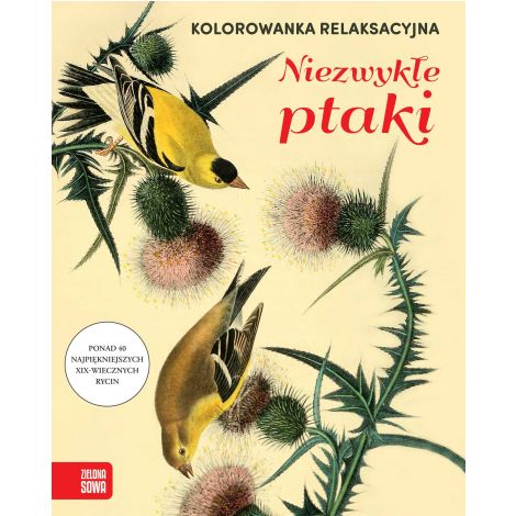 Kolorowanka relaksacyjna "Niezwykłe ptaki"
