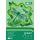 Blok Happy Color Deco Green A4/20/170g 5 kolorów