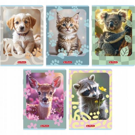 Zeszyt Herlitz Animals Standard A5/32 kratka