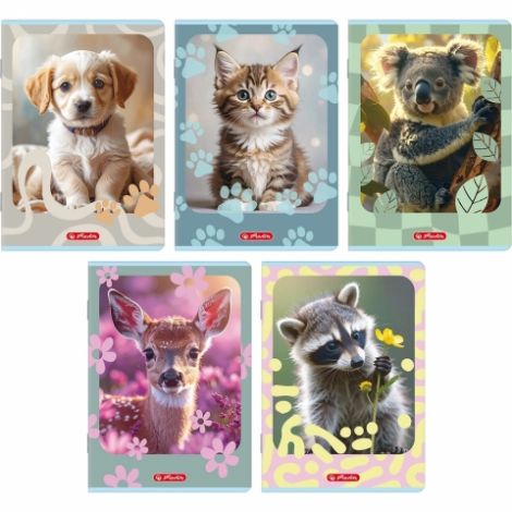 Zeszyt Herlitz Animals Standard A4/32/70g trzylinia